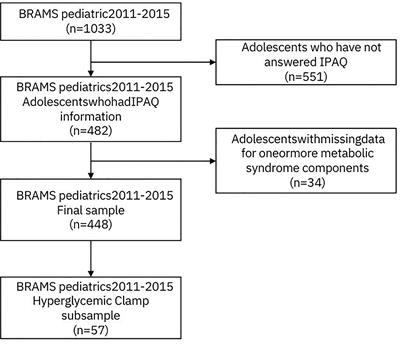 Association of physical activity and sitting with metabolic syndrome and hyperglycemic clamp parameters in adolescents – BRAMS pediatric study